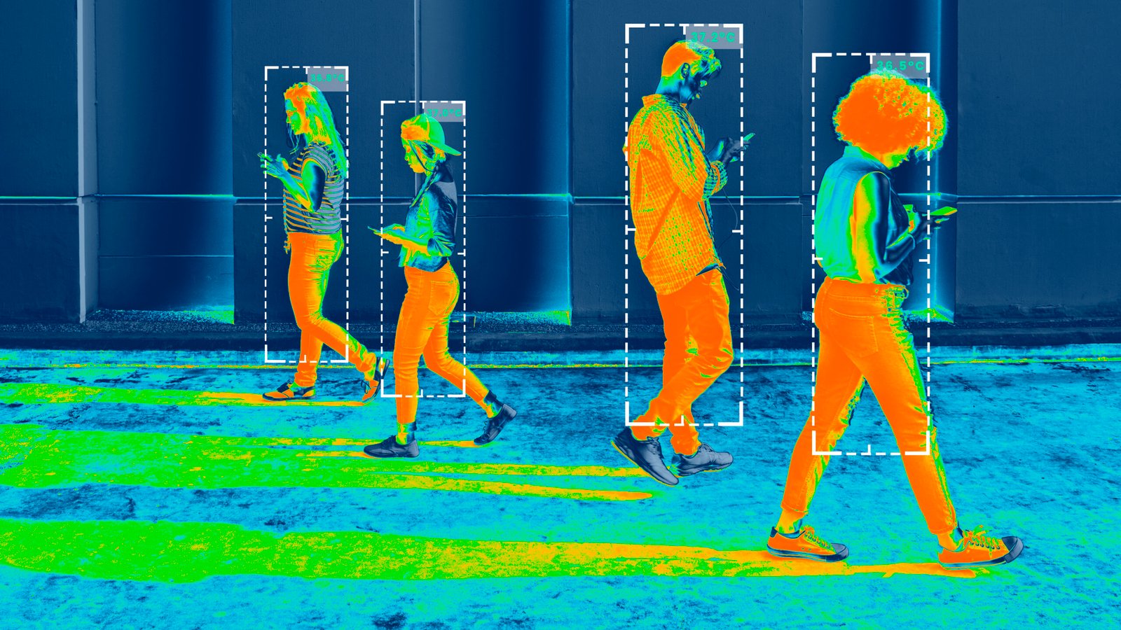 YOLOv5 object detection demo